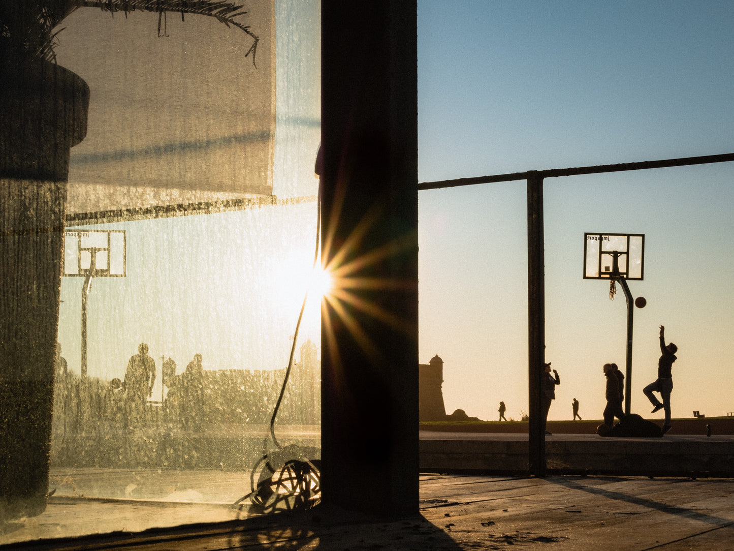 "Clutch shot"  Porto,Portugal (01-2020)